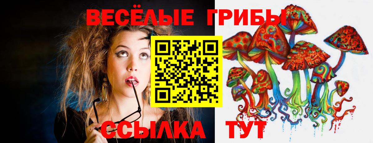 Новочебоксарск  Галлюциногенные грибы мицелий  Вход с VPN 